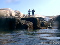 scuba diving photo