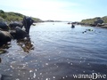 scuba diving photo