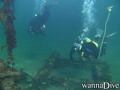 scuba diving photo