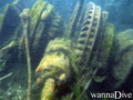 scuba diving photo