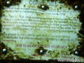 scuba diving photo