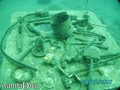 scuba diving photo