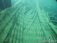 scuba diving photo