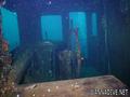 scuba diving photo