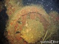 scuba diving photo