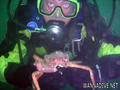 scuba diving photo