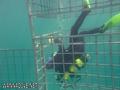 foto de buceo