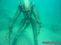 foto de buceo