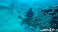 scuba diving photo