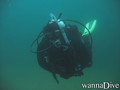 scuba diving photo
