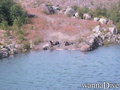scuba diving photo