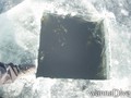 scuba diving photo
