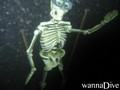 scuba diving photo