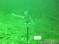 scuba diving photo