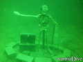 scuba diving photo