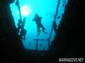scuba diving photo