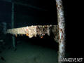 scuba diving photo
