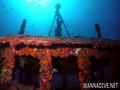 scuba diving photo