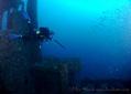 scuba diving photo