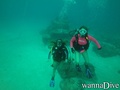 scuba diving photo