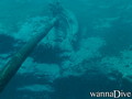 scuba diving photo