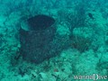 foto de buceo