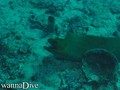 foto de buceo