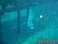 foto de buceo
