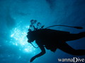 scuba diving photo