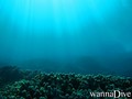 scuba diving photo