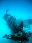 scuba diving photo