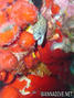 scuba diving photo
