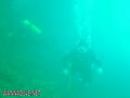 scuba diving photo