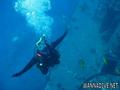 scuba diving photo