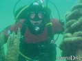 scuba diving photo