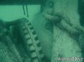 scuba diving photo