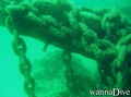 scuba diving photo