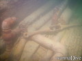 Fotos de busseig