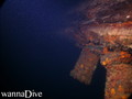 scuba diving photo