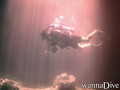 scuba diving photo