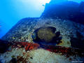 foto de buceo