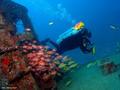 foto de buceo