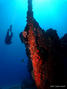 scuba diving photo