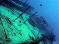 scuba diving photo