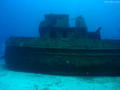 scuba diving photo