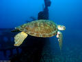 foto de buceo