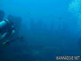 scuba diving photo