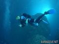 scuba diving photo