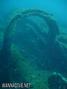 foto de buceo