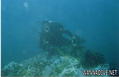 scuba diving photo